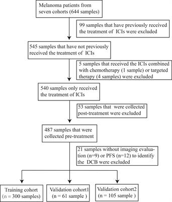 An enhanced genetic mutation-based model for predicting the efficacy of immune checkpoint inhibitors in patients with melanoma